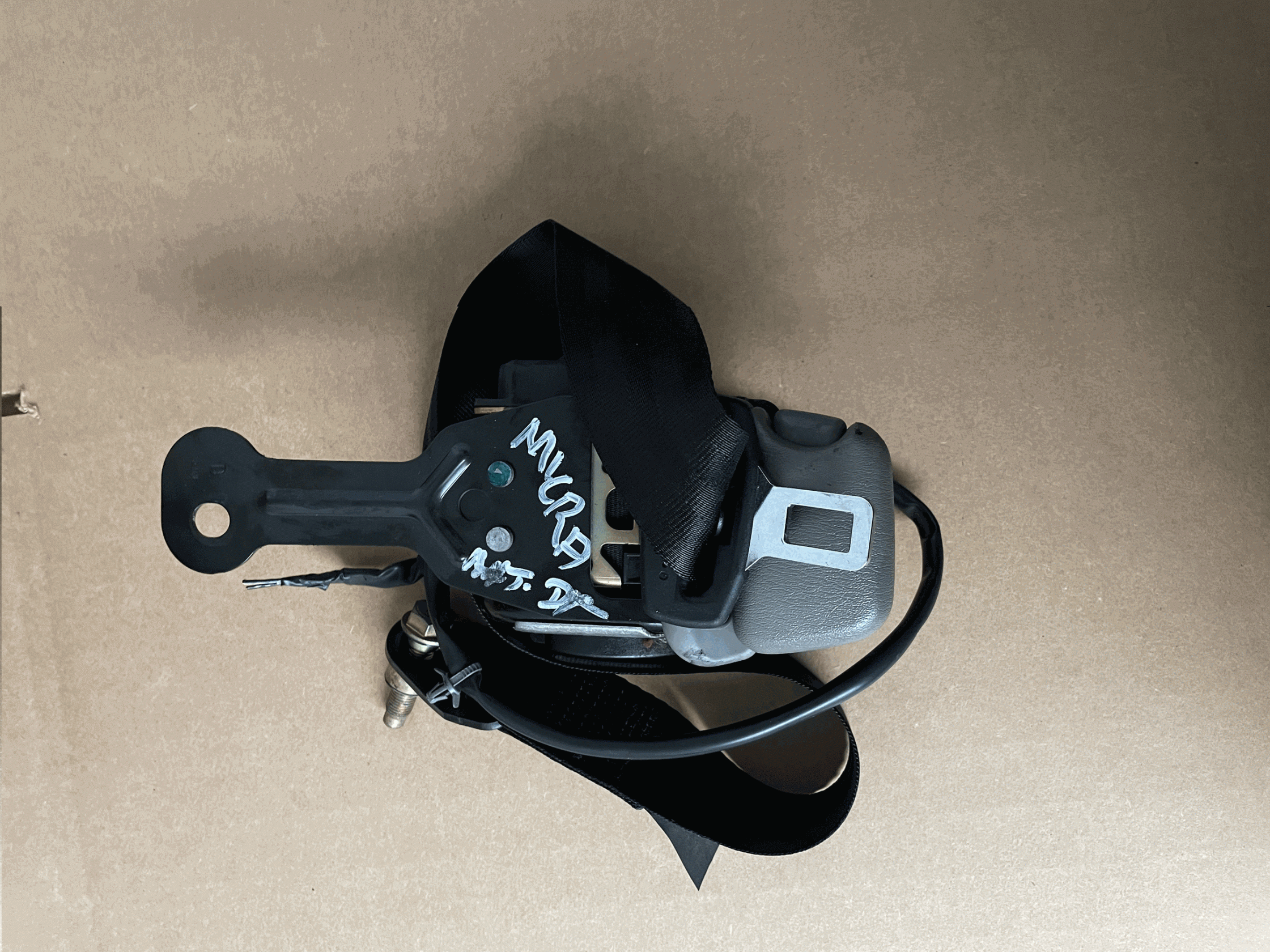 Cintura di sicurezza ant. dx.